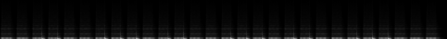 bass L